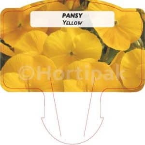 Pansy Yellow