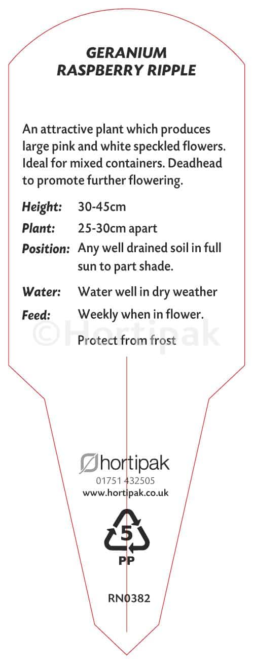 Geranium Raspberry Ripple - Hortipak e-Store