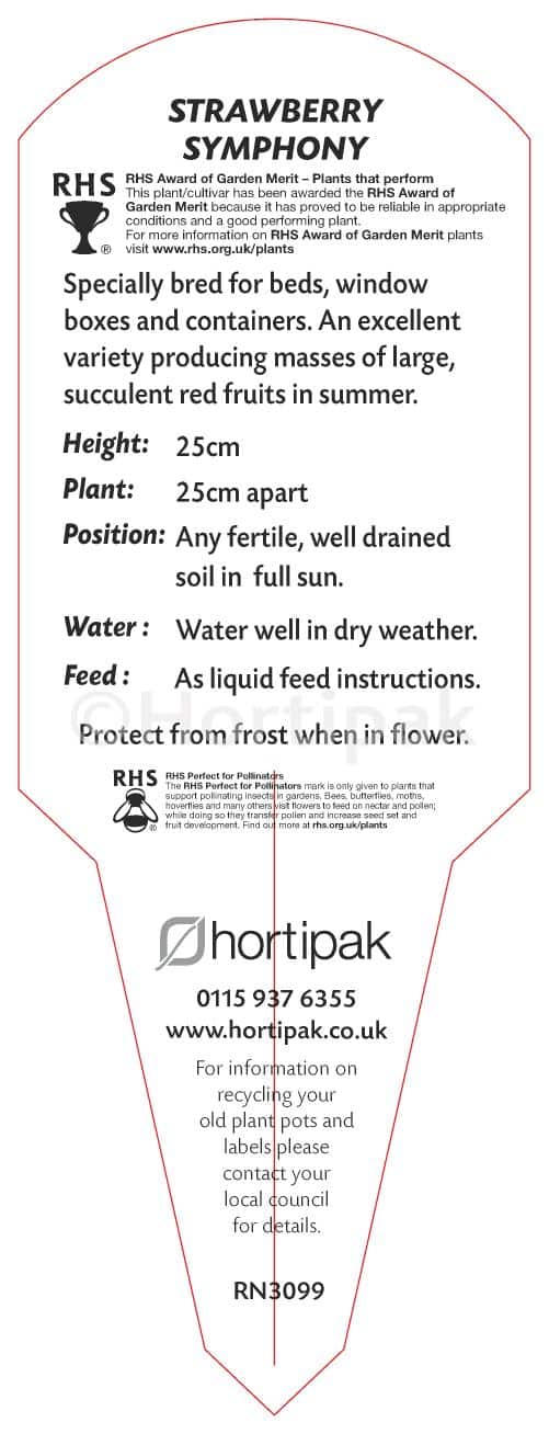 Strawberry Symphony Plant Labels - Hortipak
