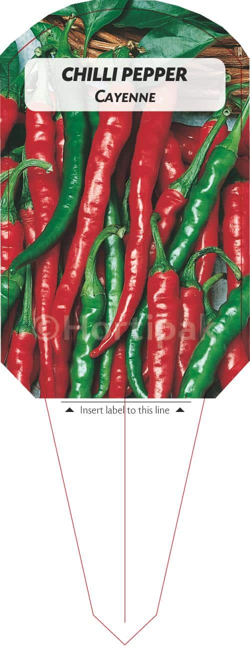 Chilli Pepper Cayenne Plant Labels - Hortipak