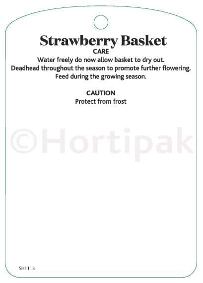 Strawberry Basket Tag Plant Labels - Hortipak